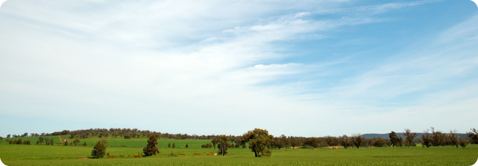 会社概要のメインイメージ